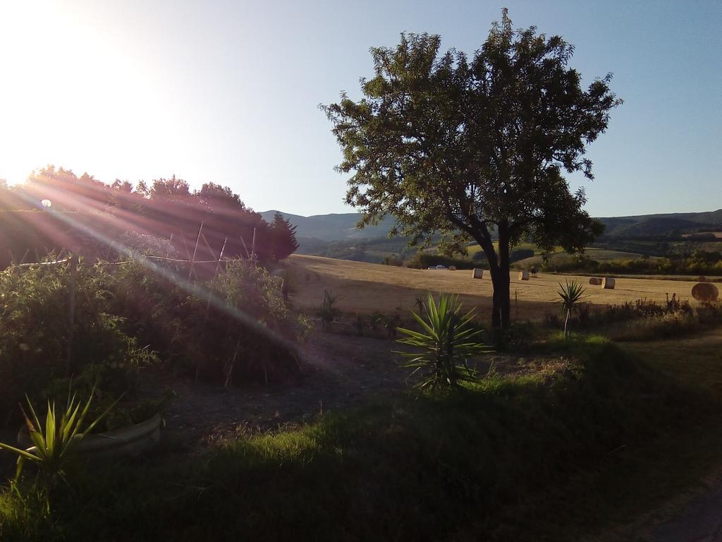 كاستيلينا ماريتيما Carlo'S Country House المظهر الخارجي الصورة